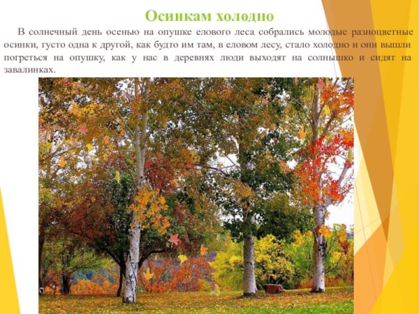 М М пришвин осинкам холодно