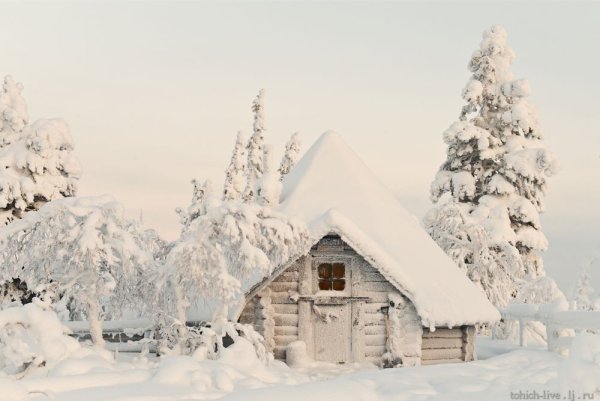 Зима избушка