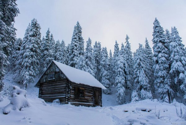 Дом лесника зима Тайга