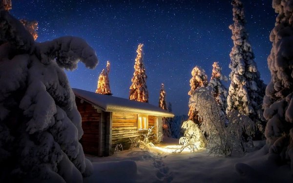 Домик в зимнем лесу