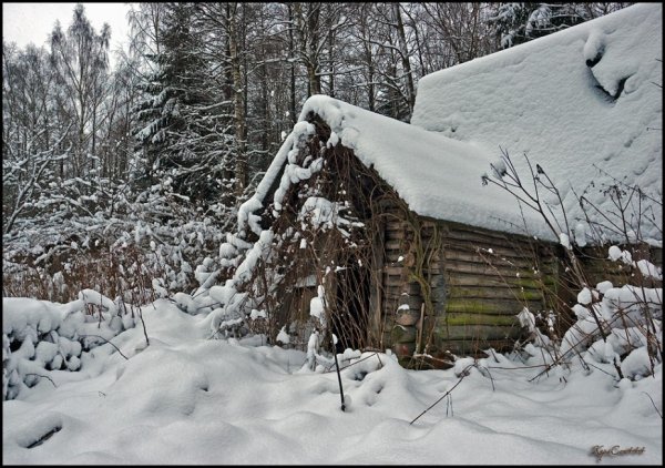 Занесенная снегом избушка