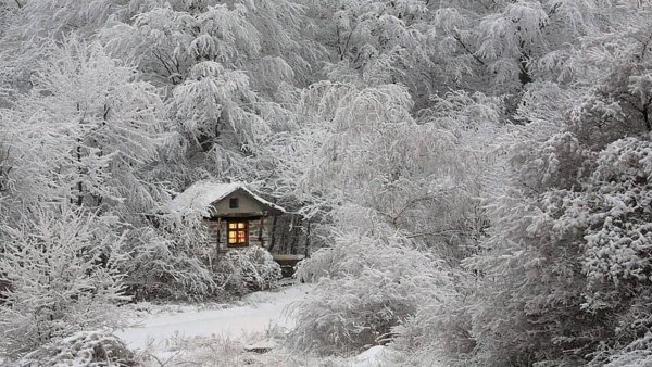 Винтер Хэвен Кэбин