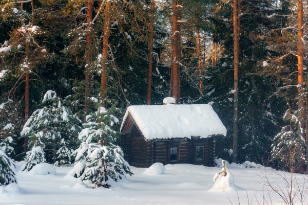 Дом лесника зима Тайга
