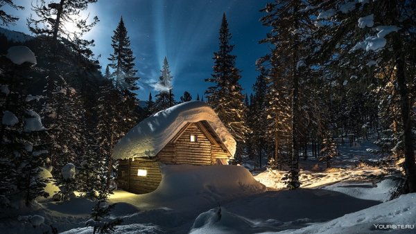 Заснеженный домик в лесу