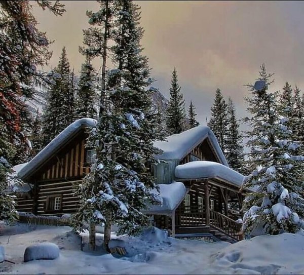 Зимний дом на опушке