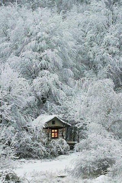 Избушка зимой