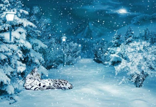 Сказочная зимняя Поляна