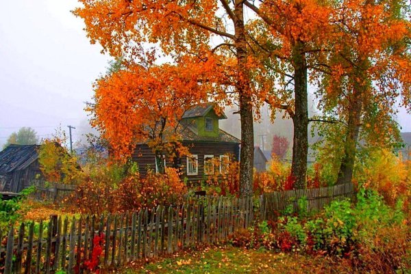 Тверская деревня осень