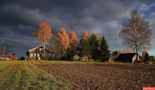 Тверская деревня осень