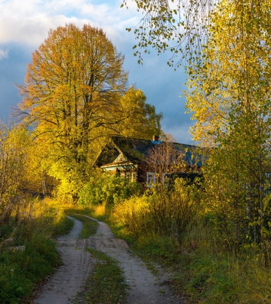 Деревня осенью