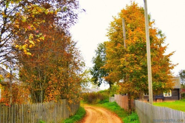 Деревня осеннего Калужская область