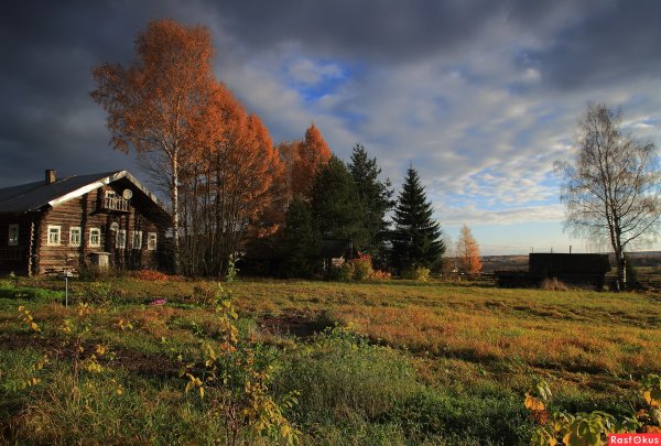 Тверская деревня осень