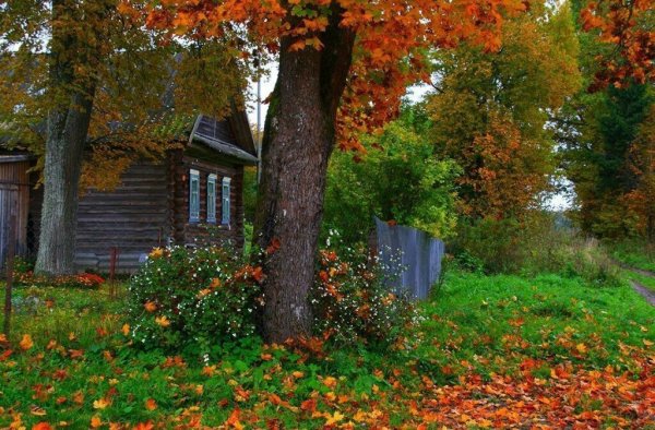 Деревня осенью