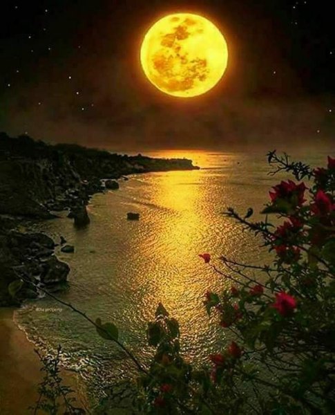 Лунная ночь