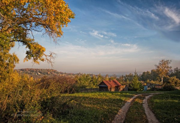 Осенний пейзаж Тульская деревня