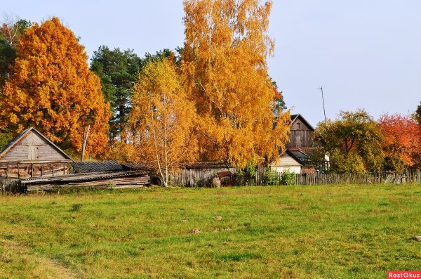 Деревни Новгородской области осень