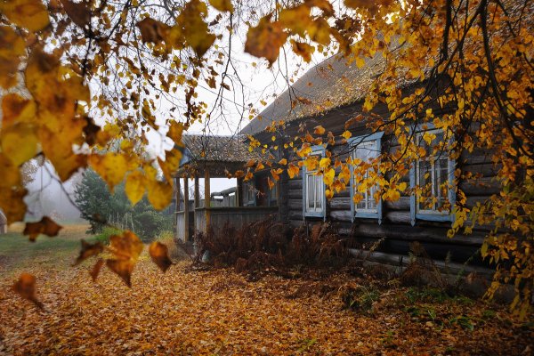 Красивая осень в деревне
