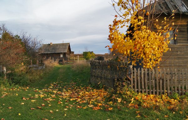 Русская деревня поздняя осень