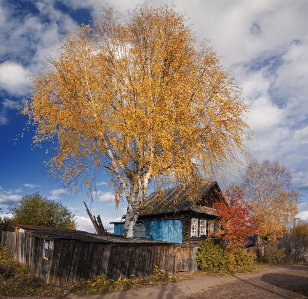 Деревня осенью