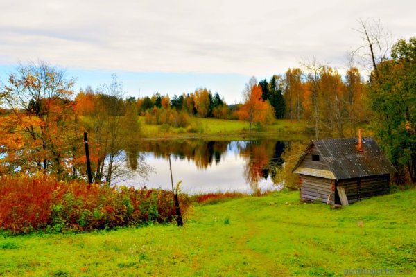 Деревня Островно осенью