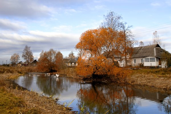 Деревня улица осень