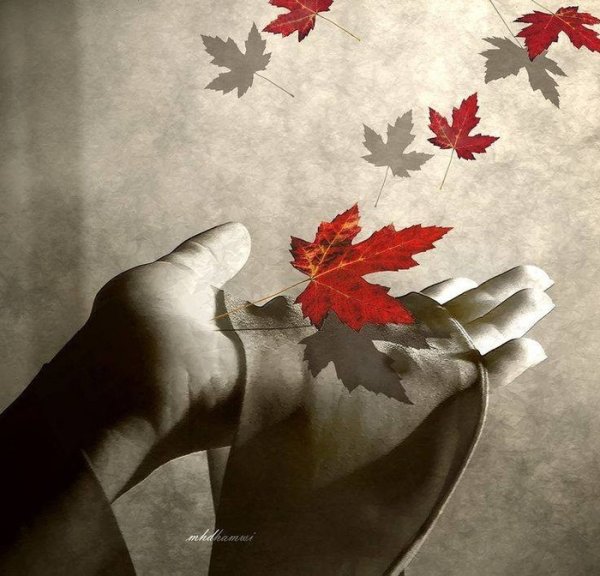 Осенний лист на ладони