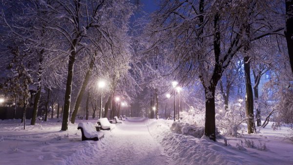 Заснеженный парк вечером