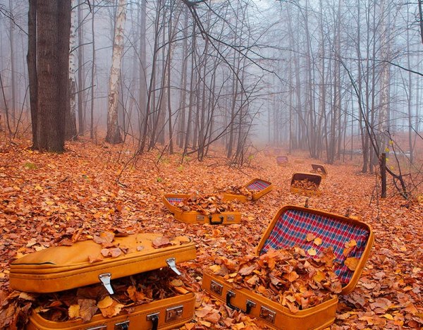 Отпуск осенью
