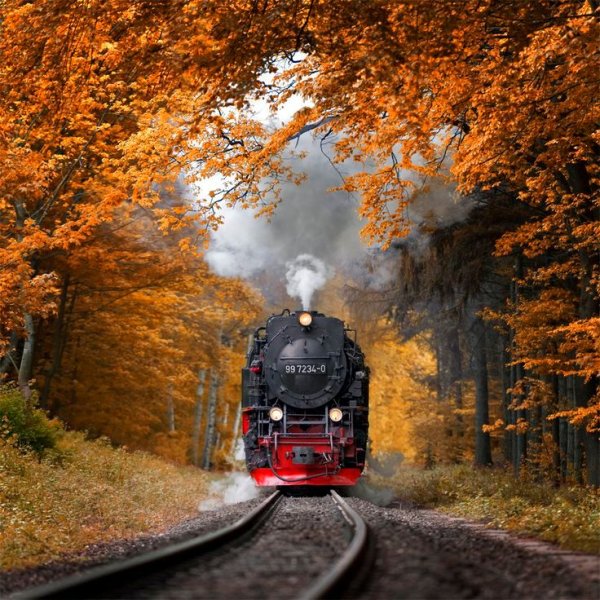Паровоз осень