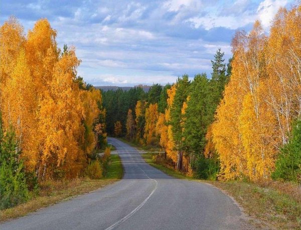 Трасса в осеннем лесу