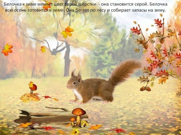 Осенний лес с животными для детей