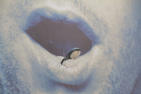 Сугроб с глазами