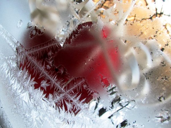 Морозное сердце