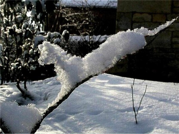 Снежные причуды природы