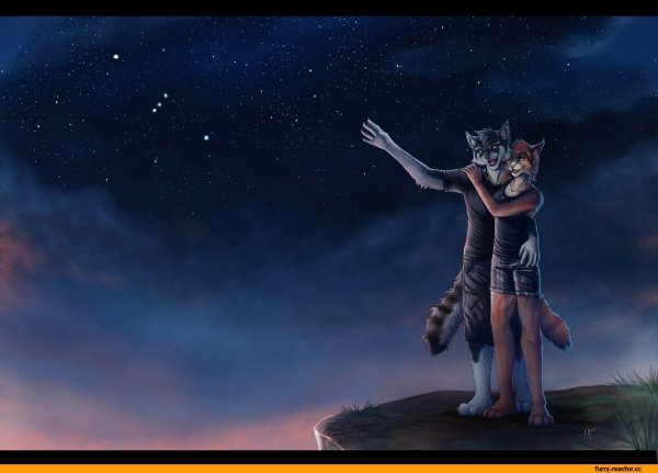 Фурия в ночи