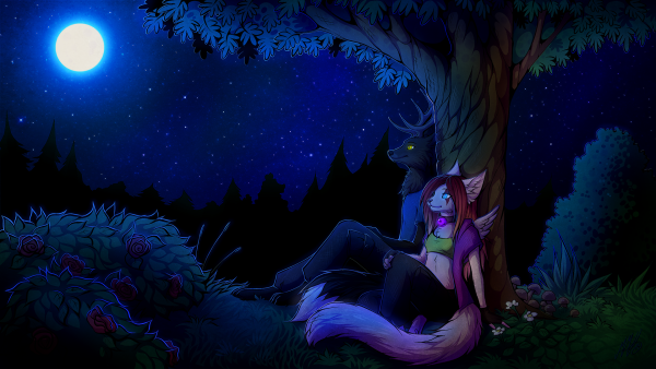 Фурри ночное небо