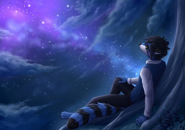 Вселенная фурри