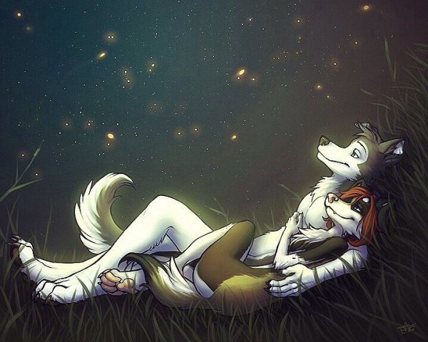 Фурии лежит