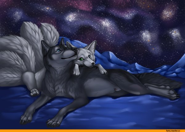 Кицунэ волк фурри