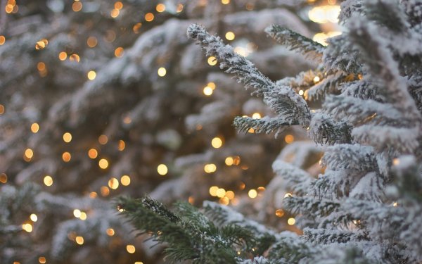 Новый год снег