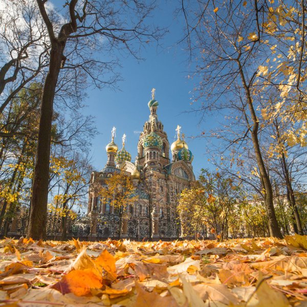 Золотая осень в Питере