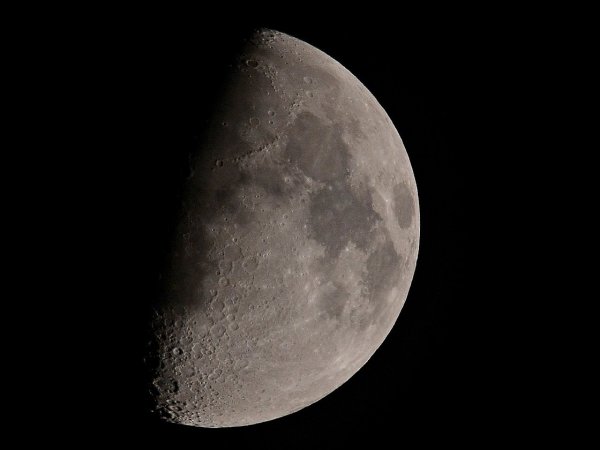 Макдональд й. "Волчья Луна"