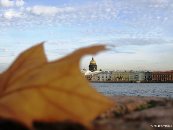 Осеннее солнце в Петербурге