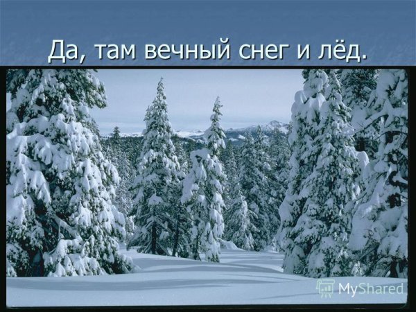 Вечные снега