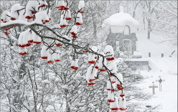 Февраль снег идет