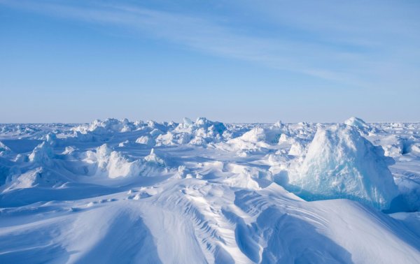 Северный полюс Арктическая пустыня