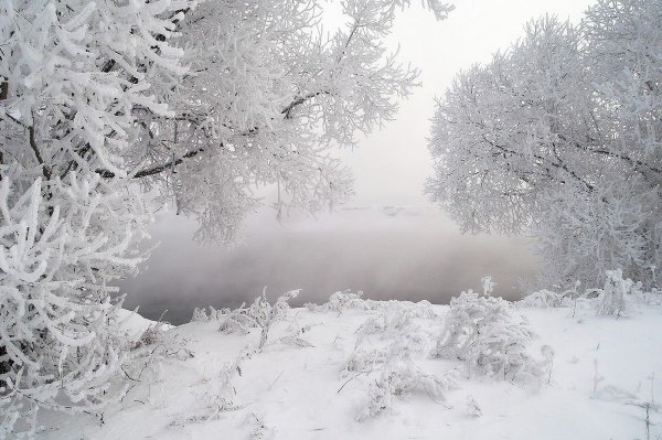 Зимний пейзаж
