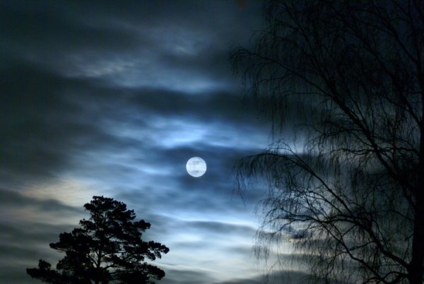 Сумрак ночи