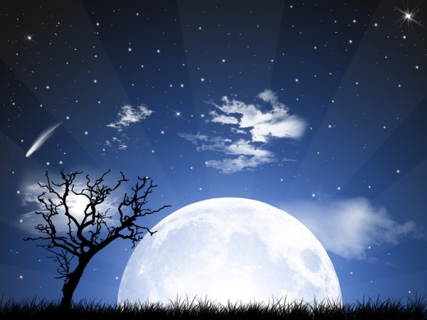 Лунная ночь