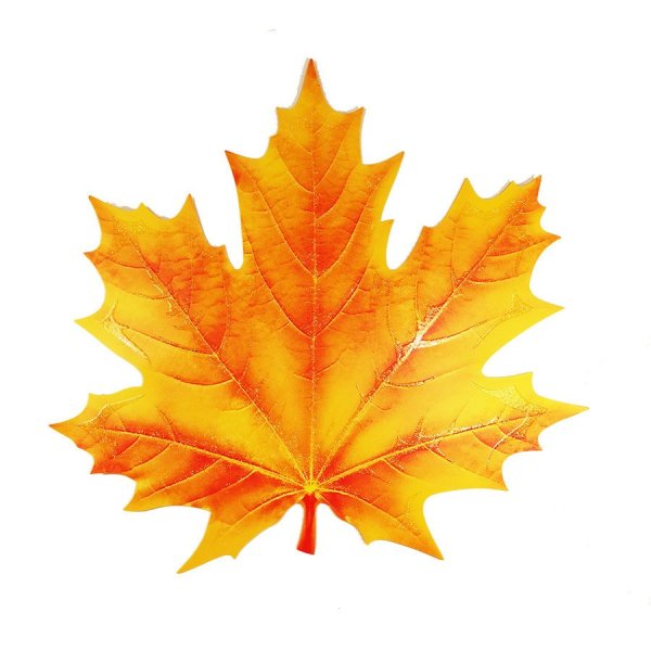 Кленовый листок меднили